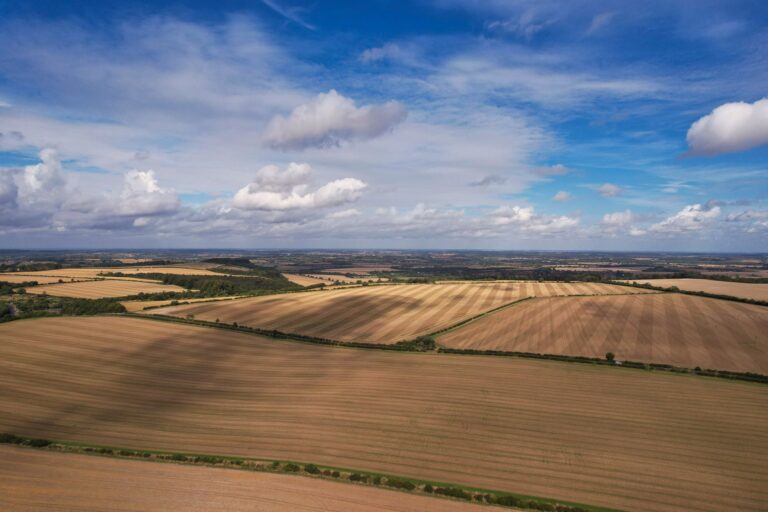 Indice des fermages 2026 : +3,23 %, comment recalculer le loyer de vos terres agricoles avant l’échéance